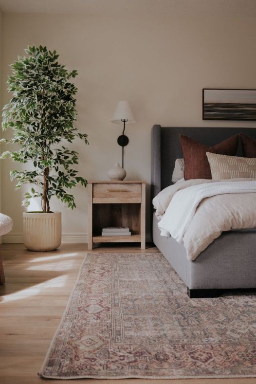 Ficus panaché sur tapis de chambre - Décors Véronneau