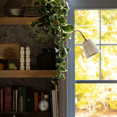 Artificial trailing euonymus plant, 35