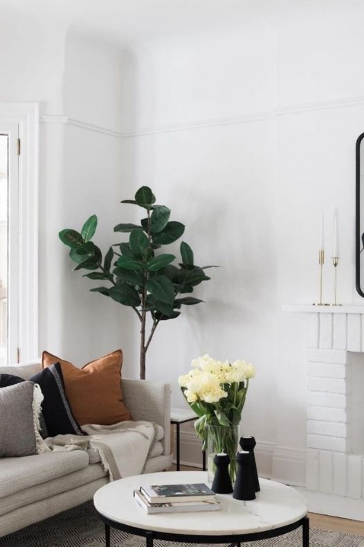 Ficus elastica artificiel dans un salon - Décors Véronneau