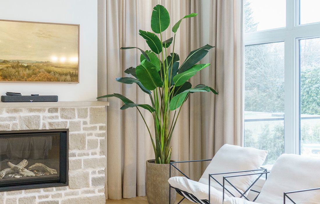 Plante oiseau du paradis artificiel dans un salon - Décors Véronneau