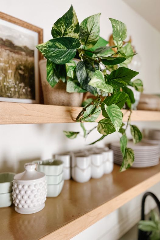 Plante suspendue de pothos artificiel sur tablette de cuisine - Décors Véronneau