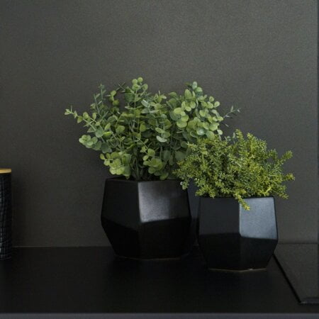 Artificial greenish grey baby tear succulent 7,5'' - Décors Véronneau