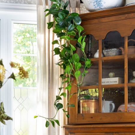 Feuillage de jade retombant vert artificiel, 48'' - Décors Véronneau