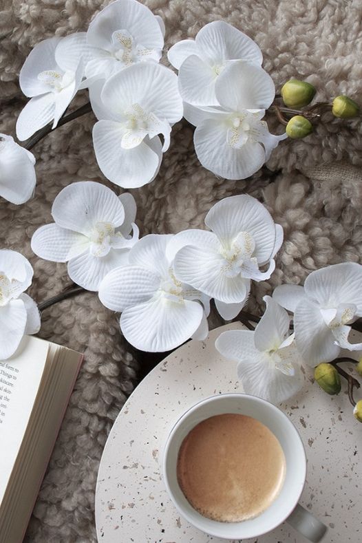 Couverture de laine avec café et orchidées blanches - Décors Véronneau