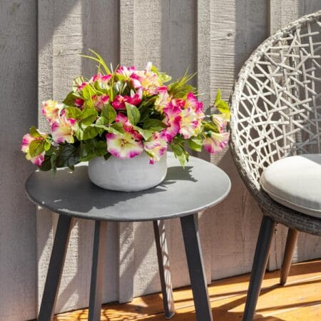 Pétunia suspendu extérieur rose et blanc - Décors Véronneau