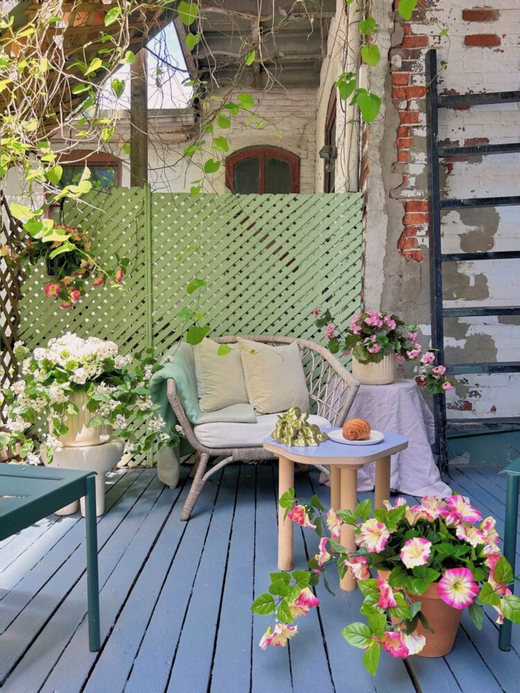 Pétunias en pots de terre cuite sur terrasse urbaine - Décors Véronneau