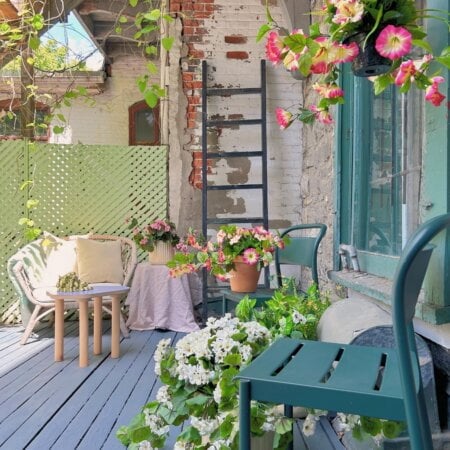 Outdoor hanging planter of petunia, 18 x 16