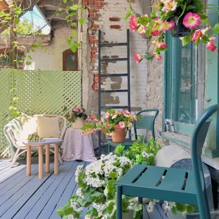 Outdoor hanging planter of petunia, 18 x 16