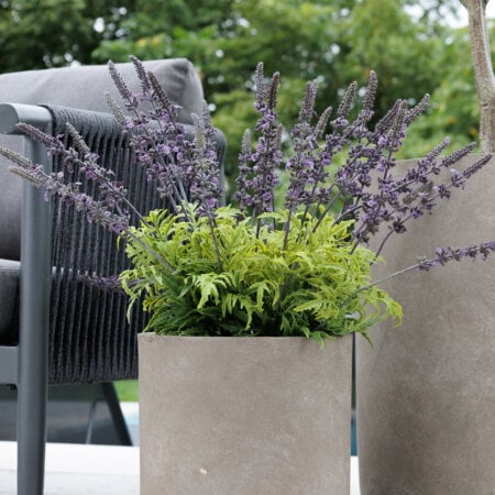 Plant de lavande artificielle en pot, 22 x 22