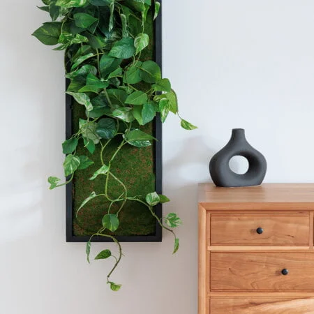 Hanging pothos vertical green wall, 36 x 12