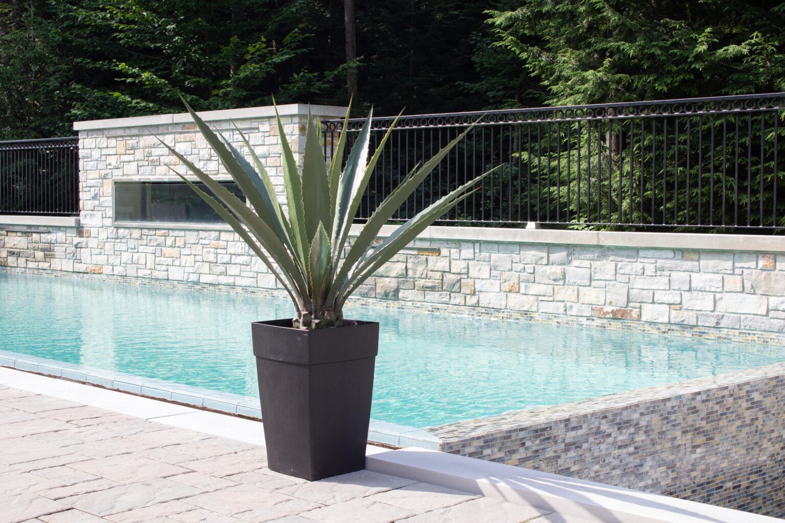 Agave américain artificiel sur le bord d'une piscine - Décors Véronneau