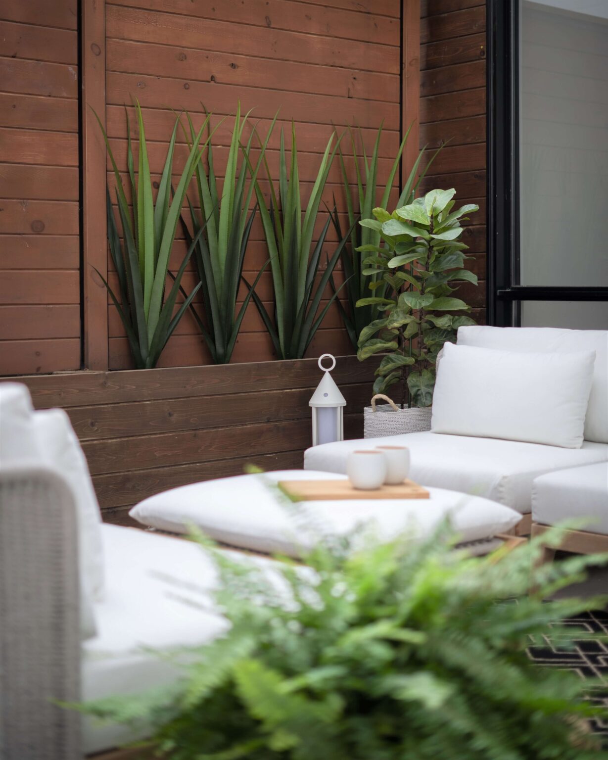 Agaves extérieurs sur terrasse - Décors Véronneau