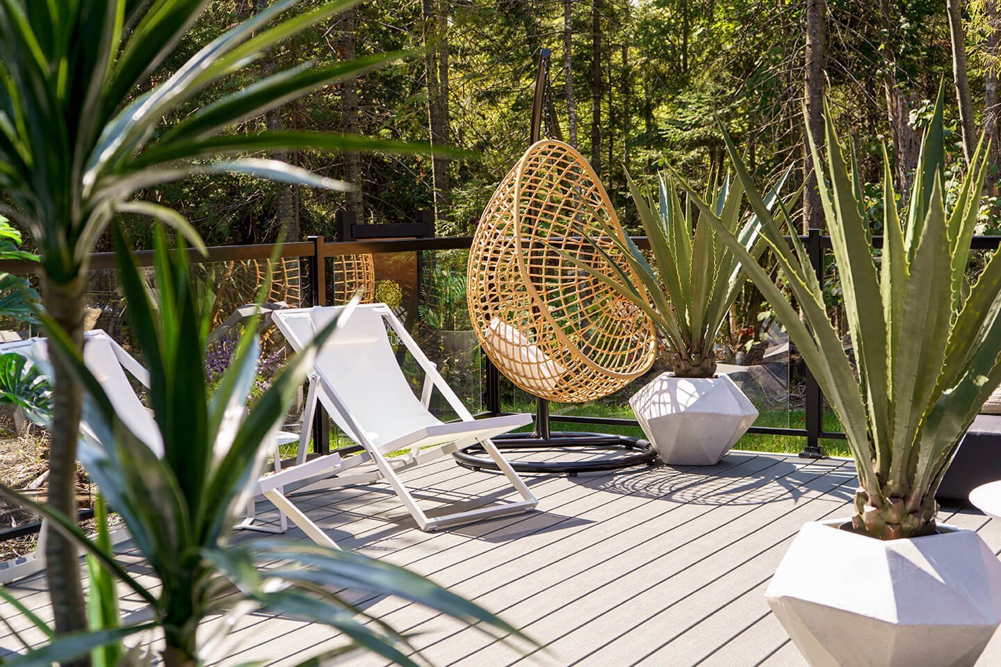 Oasis extérieur avec agaves artificiels - Décors Véronneau