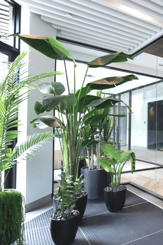 Plantes artificielles dans un commerce - Décors Véronneau