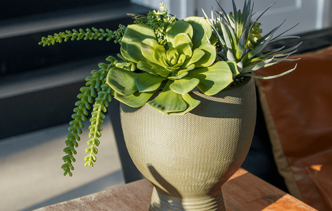 Arrangement de plantes grasses - Décors Véronneau