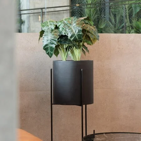 Cache-pot noir sur pied en métal - Décors Véronneau