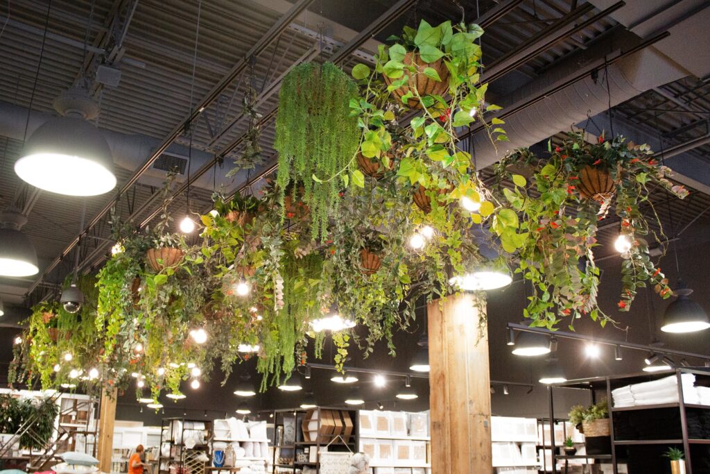 Jeu de plantes suspendues et retombantes au plafond pour ajouter de la verdure à cette boutique de décoration. - Décors Véronneau