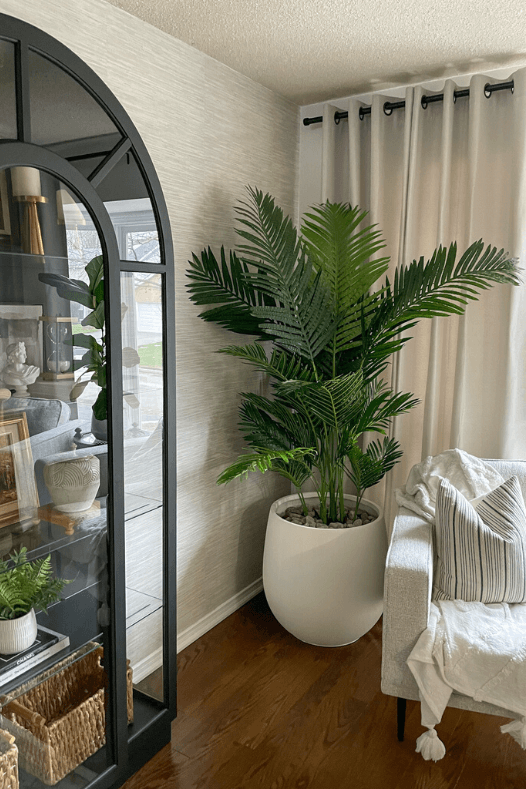 Palmier intérieur dans une salle à dîner - Décors Véronneau