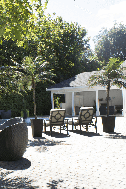 Palmier phoenix - Décors Véronneau