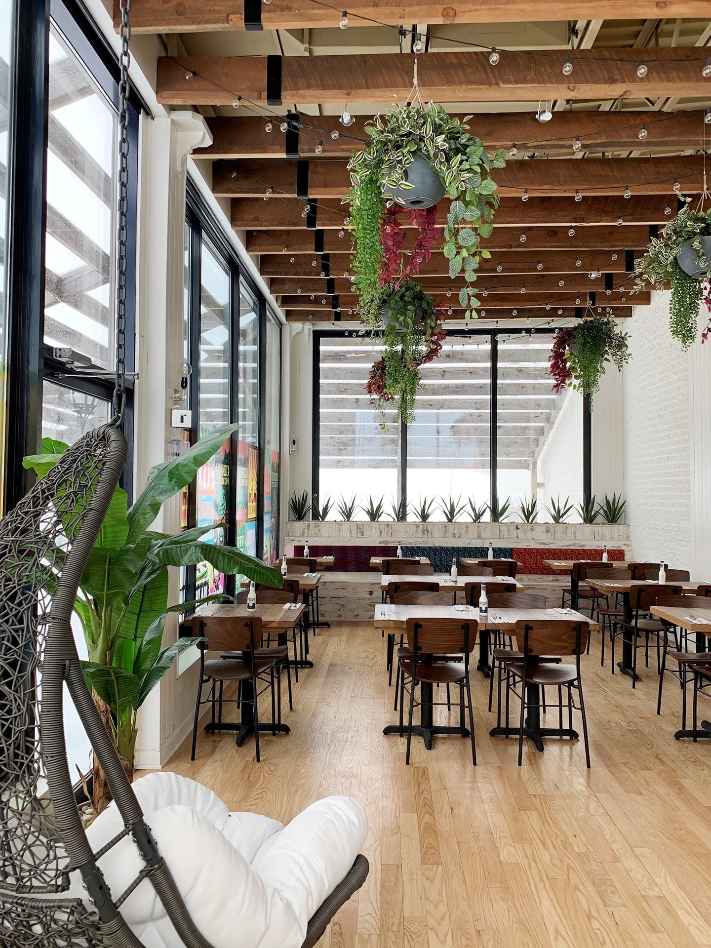 Salle à diner avec créations de plantes retombantes au plafond et oiseau du paradis - Décors Véronneau