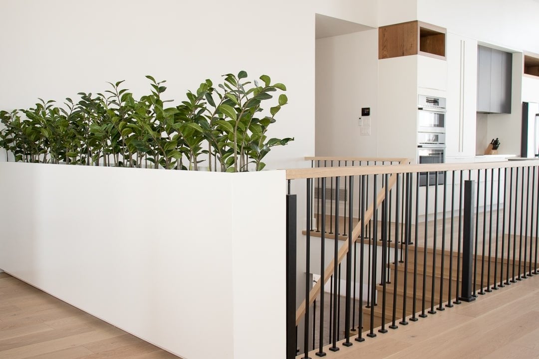 bac zamioculcas artificiels fausse division - Décors Véronneau