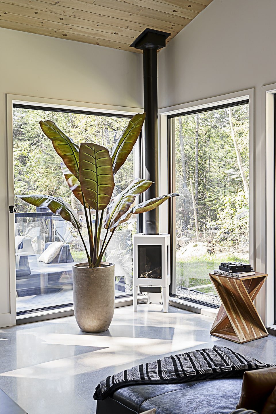 grand bananier pot béton - Décors Véronneau