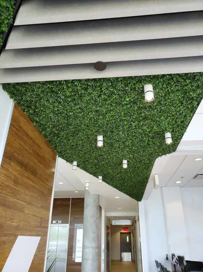 Carrés de buis au plafond pour créer un plafond vert artificiel pour cet édifice. - Décors Véronneau