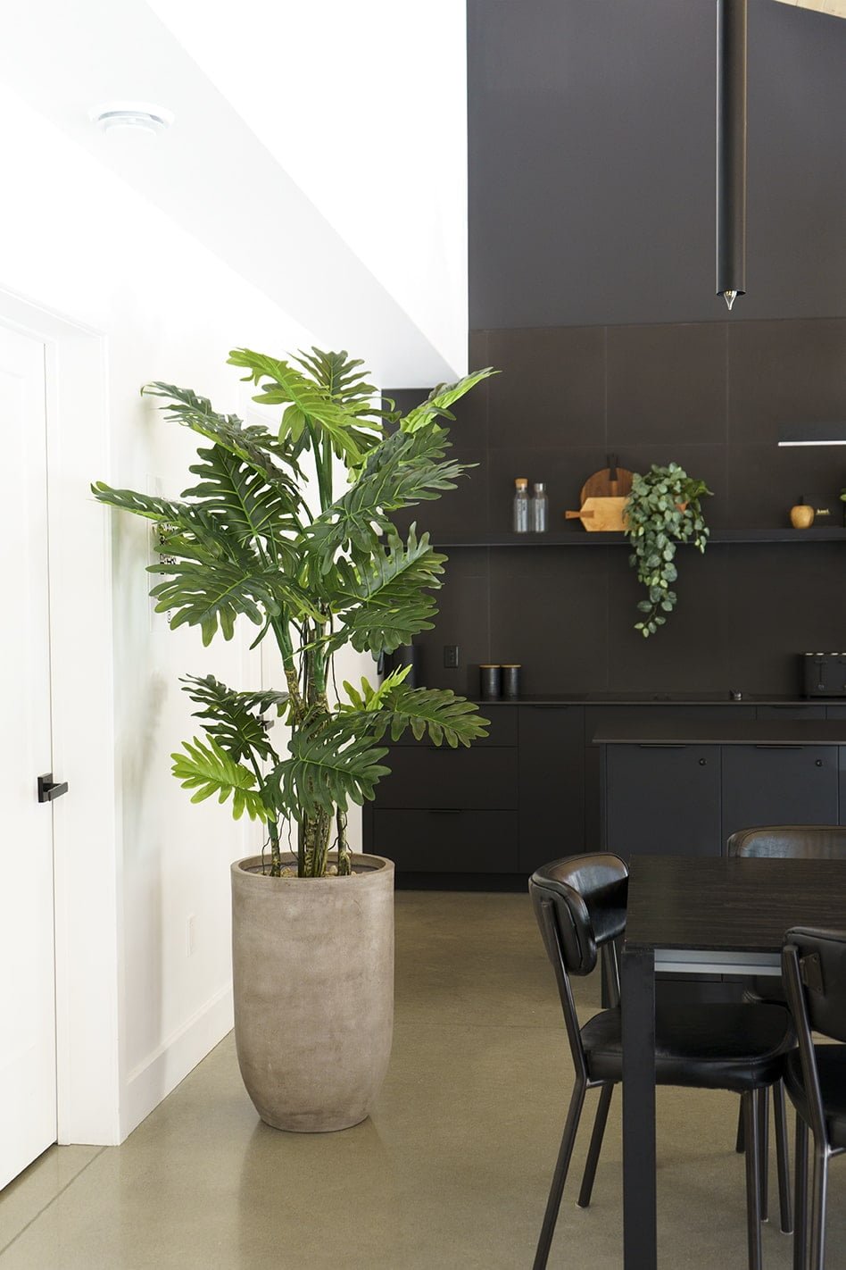 Grand monstera surdimensionné dans un décor monochrome - Décors Véronneau