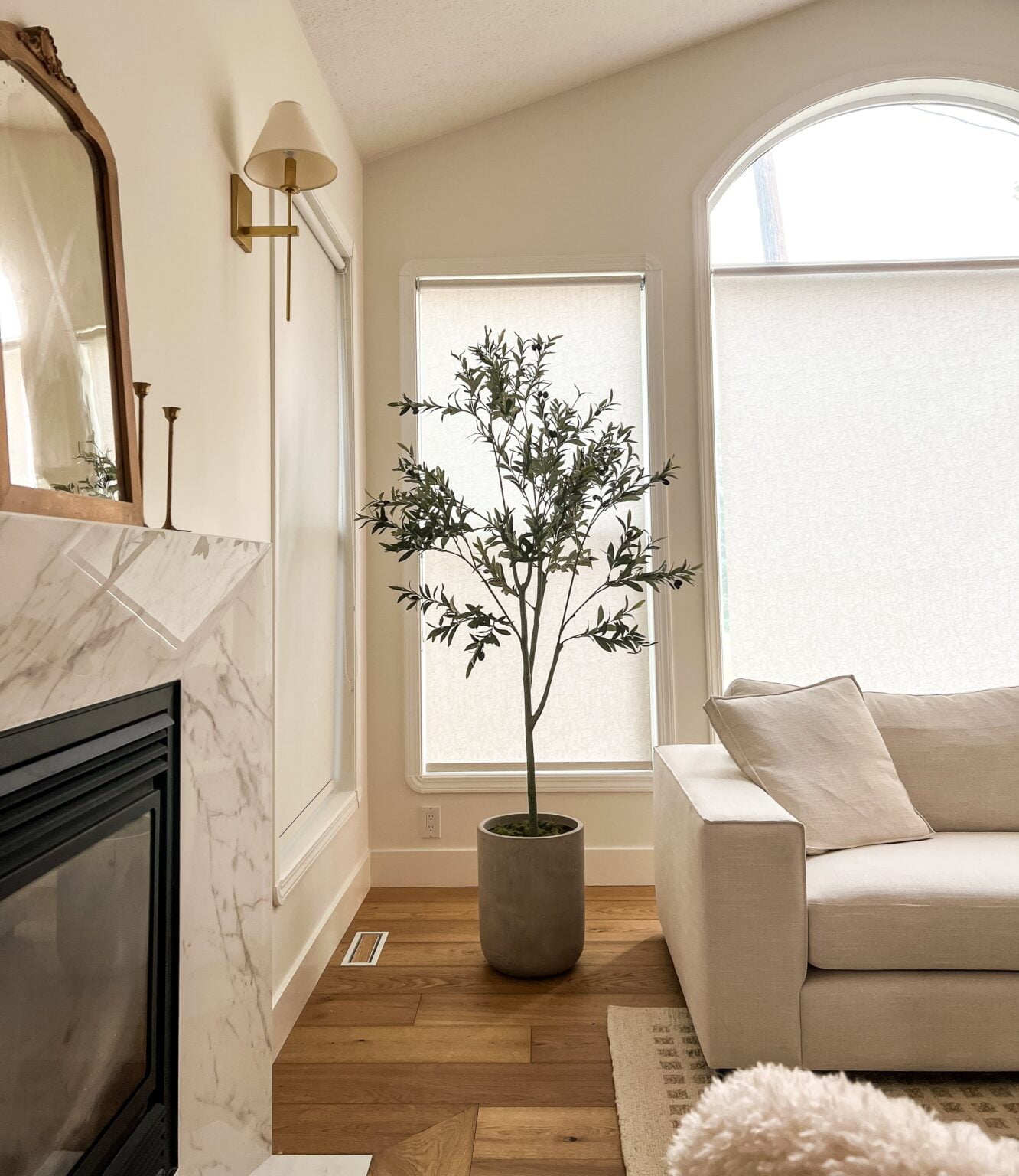 Olivier artificiel dans pot de béton - Décors Véronneau