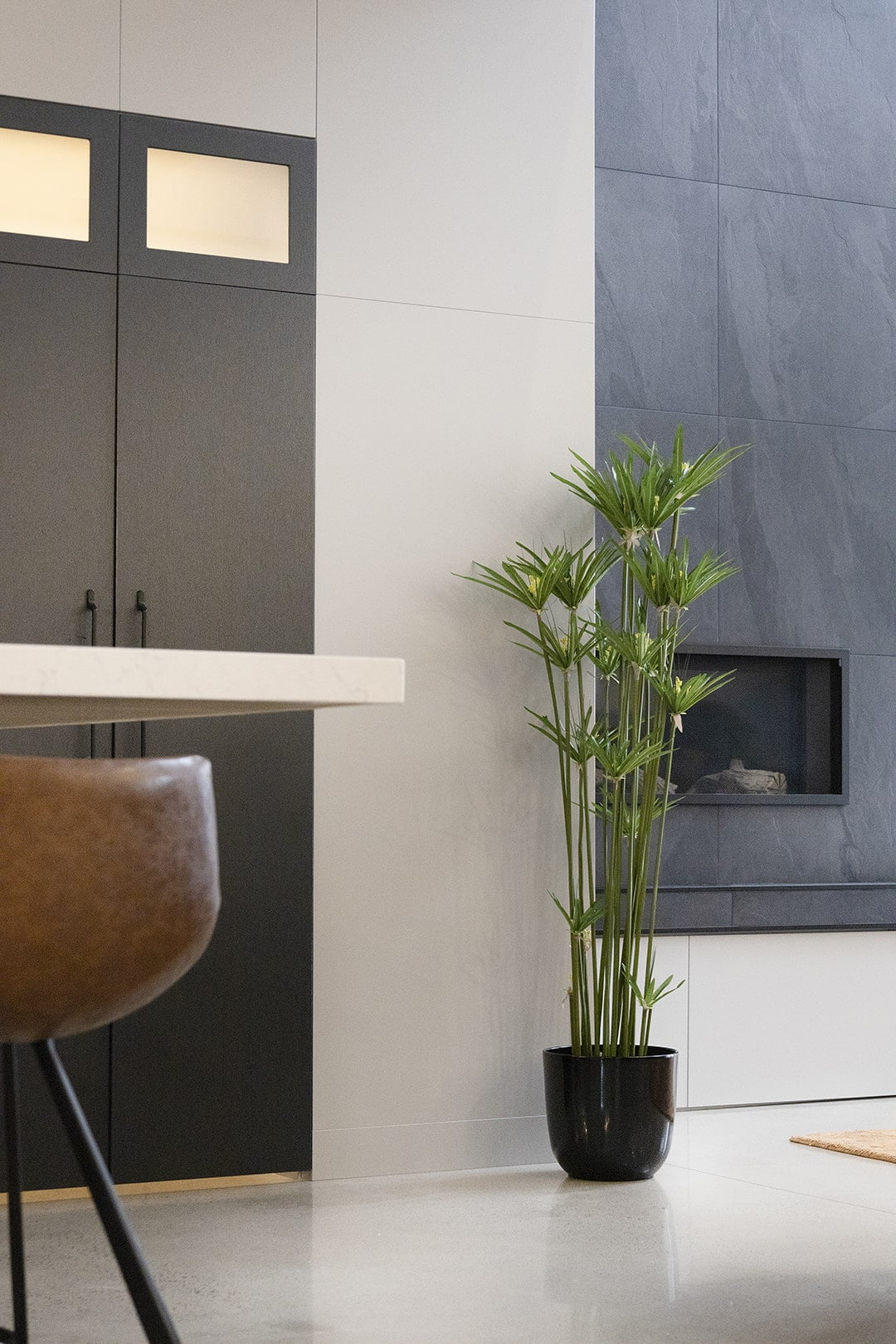 Papyrus artificiel au salon - Décors Véronneau