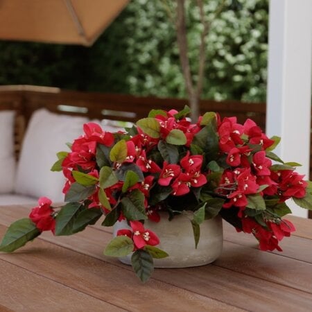 Centre de table de bougainvillier, 12 x 15