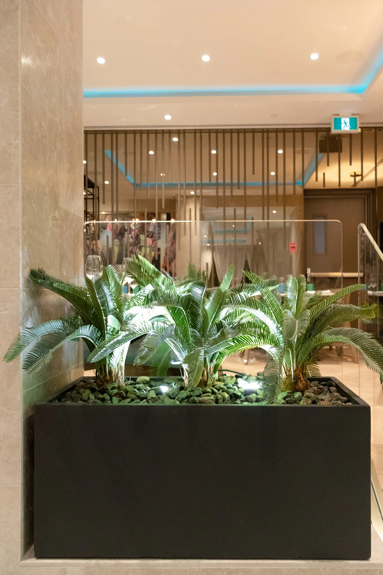 Bac noir composé de deux palmier cycas artificiels servant de division. - Décors Véronneau