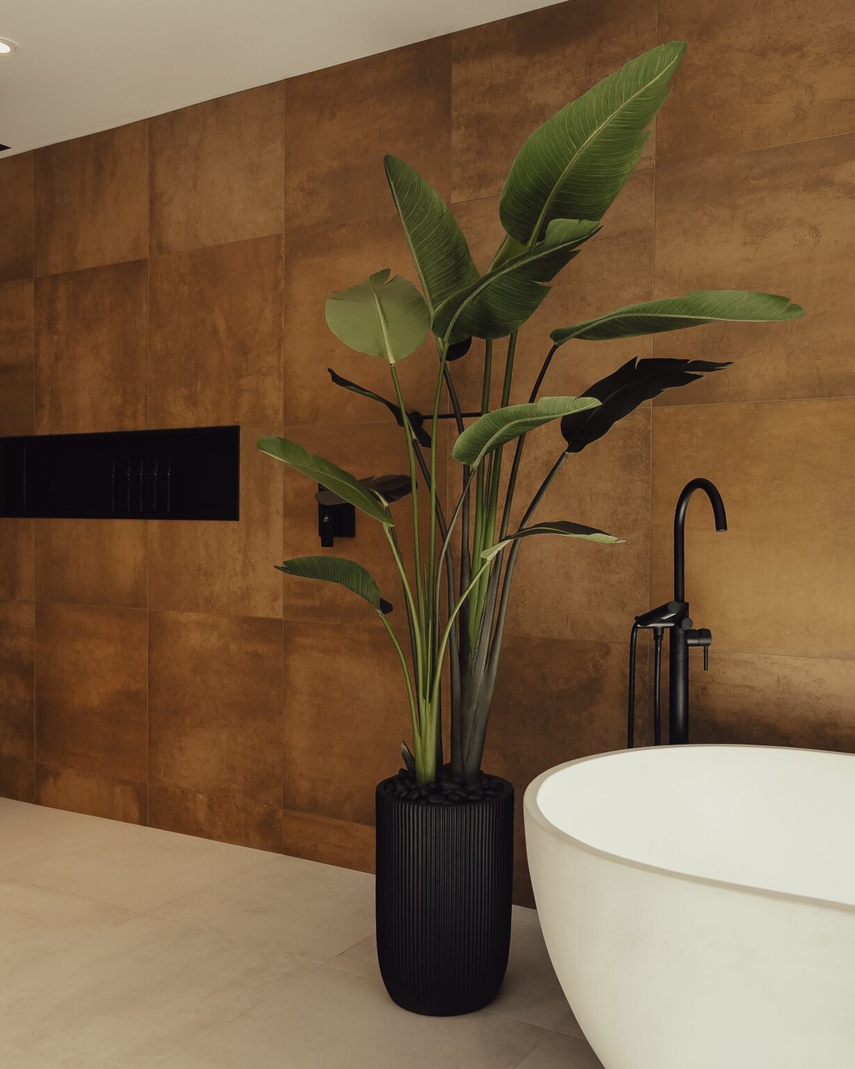 Oiseau du paradis dans une salle de bain - Décors Véronneau