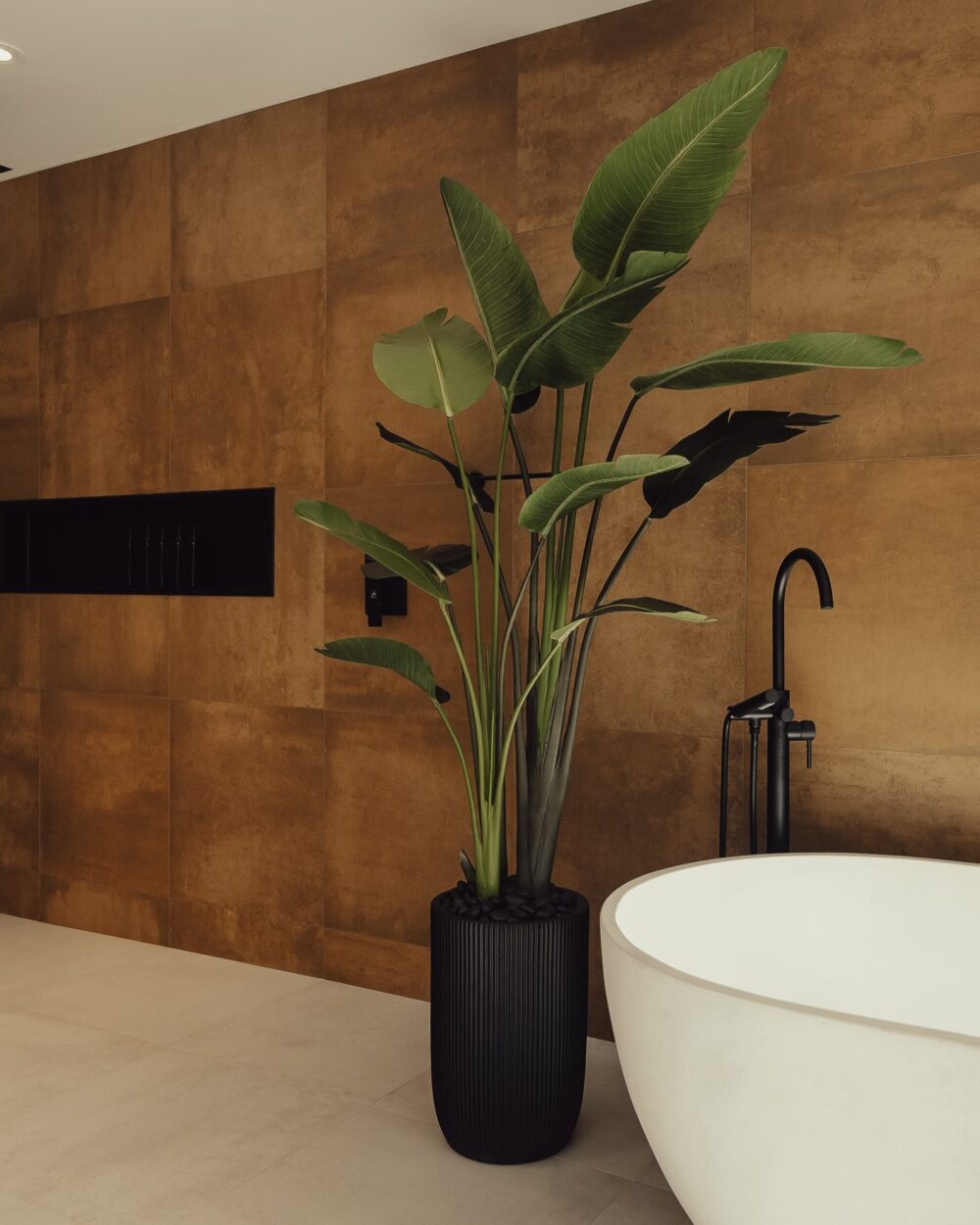 Oiseau du paradis dans une salle de bain - Décors Véronneau