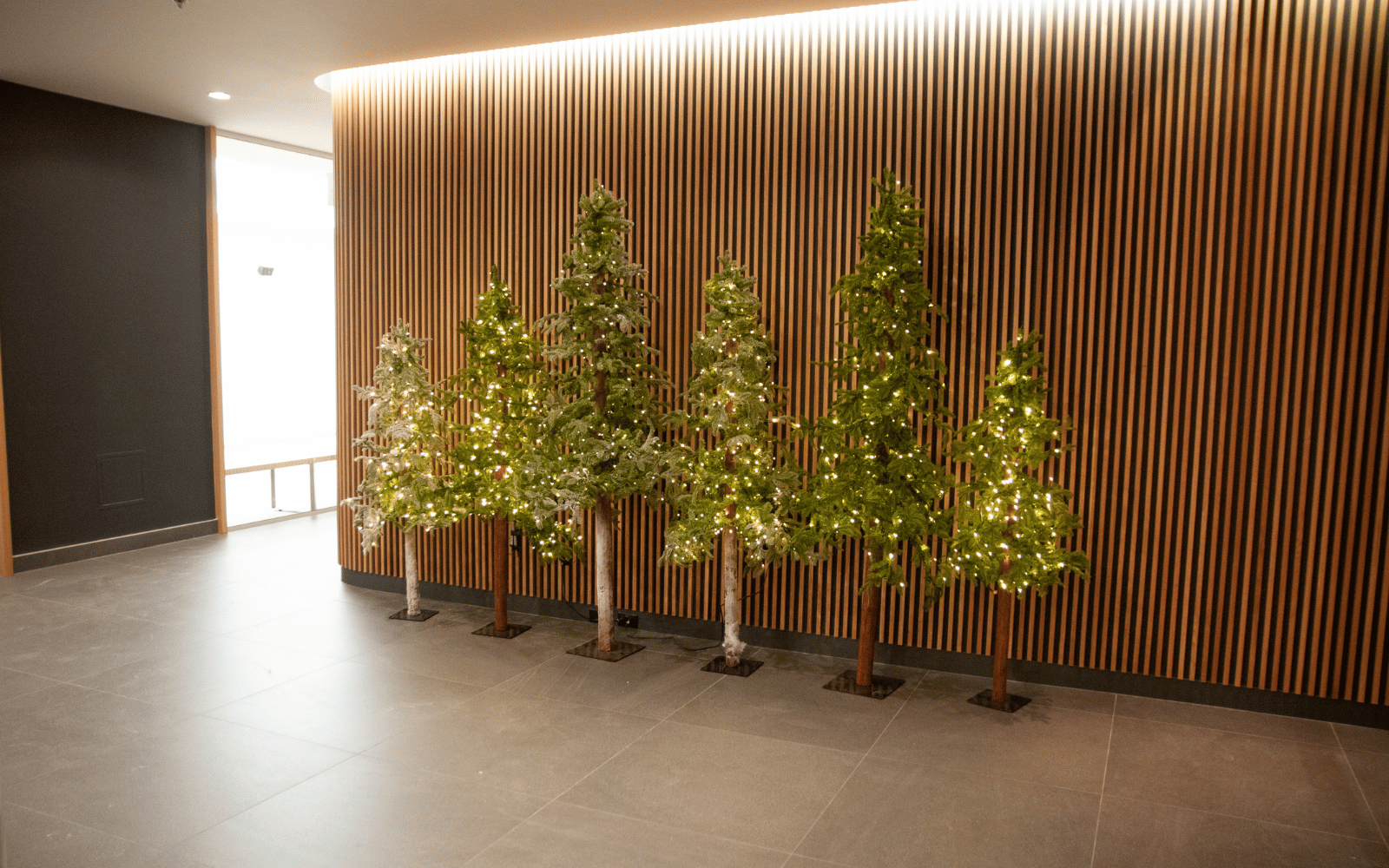 Sapins alpins illuminés - Décors Véronneau