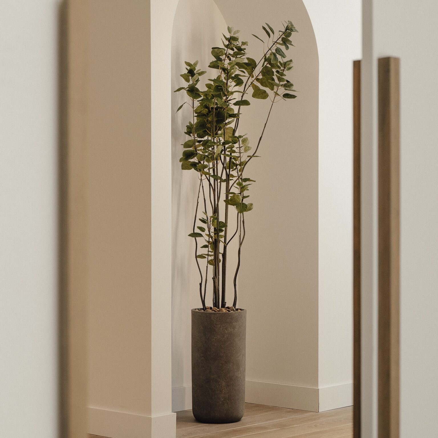 Smoke tree eucalyptus arbre artificiel dans un arche - Décors Véronneau