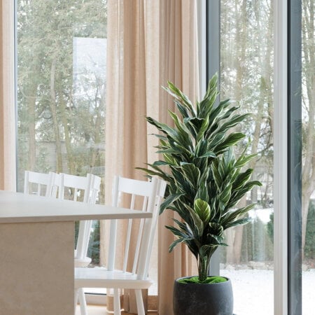 Cordyline artificial plant, 57'' - Décors Véronneau