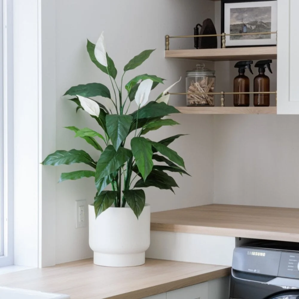 Modern white plant pot - Dcors Vronneau