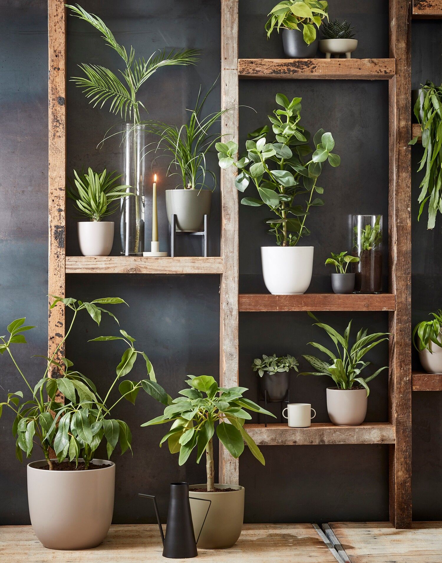 Cache-pot blanc mat - Décors Véronneau