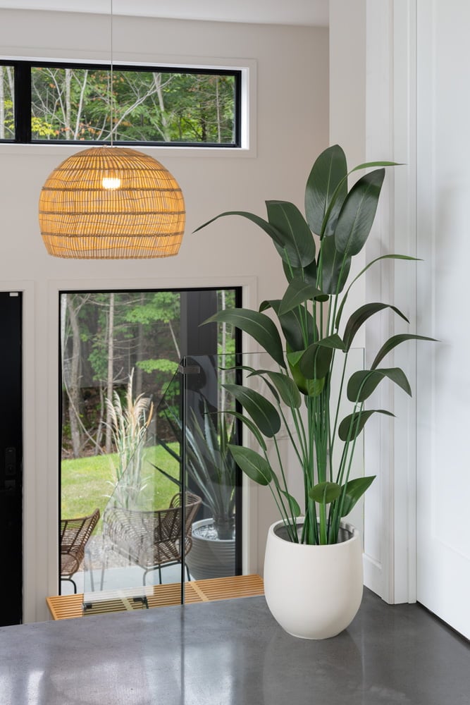 Canna d'eau dans une maison aux plafonds hauts - Décors Véronneau