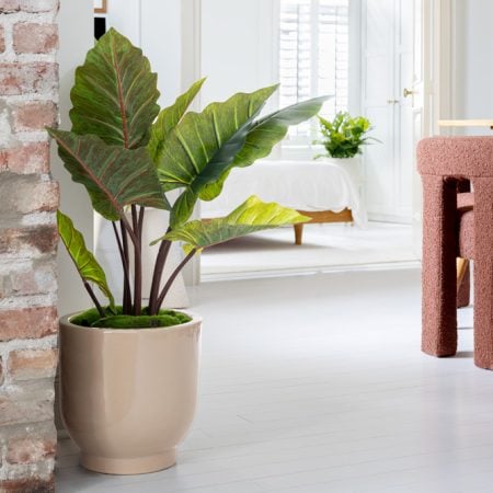 Plante artificielle d'anthurium, 37