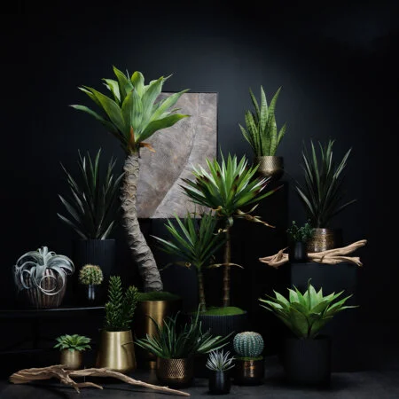 Tableau feuille monochrome, 24 x 36