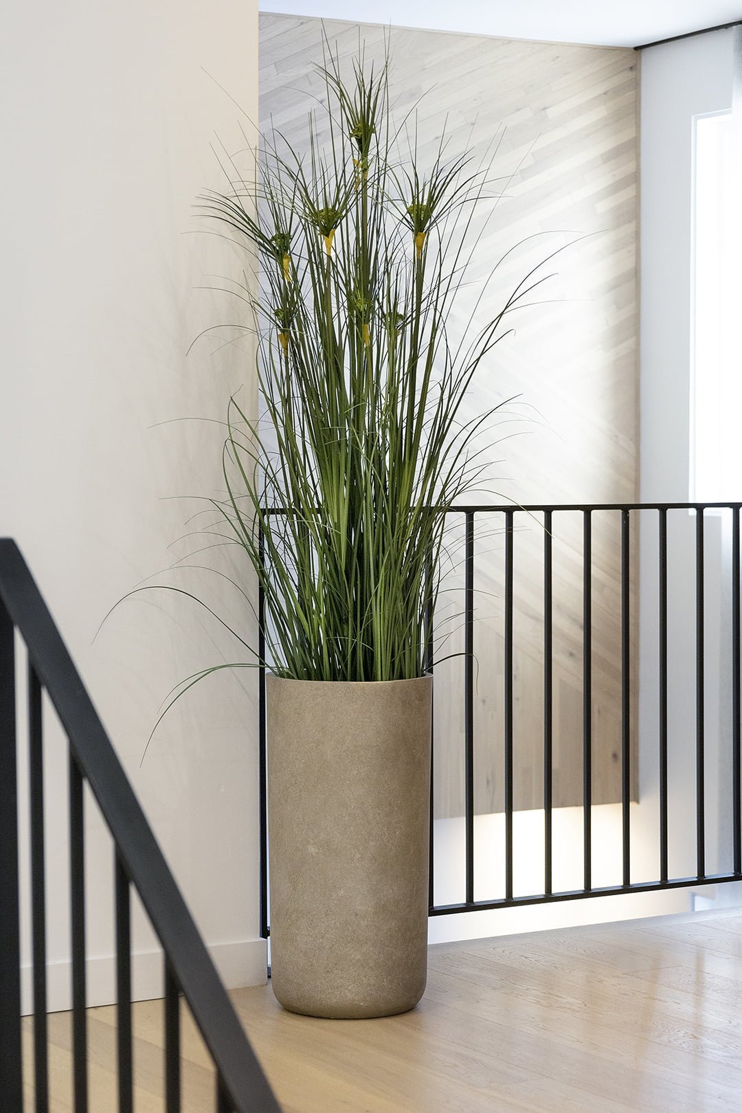 Plante de papyrus dans un pot intemporel - Décors Véronneau