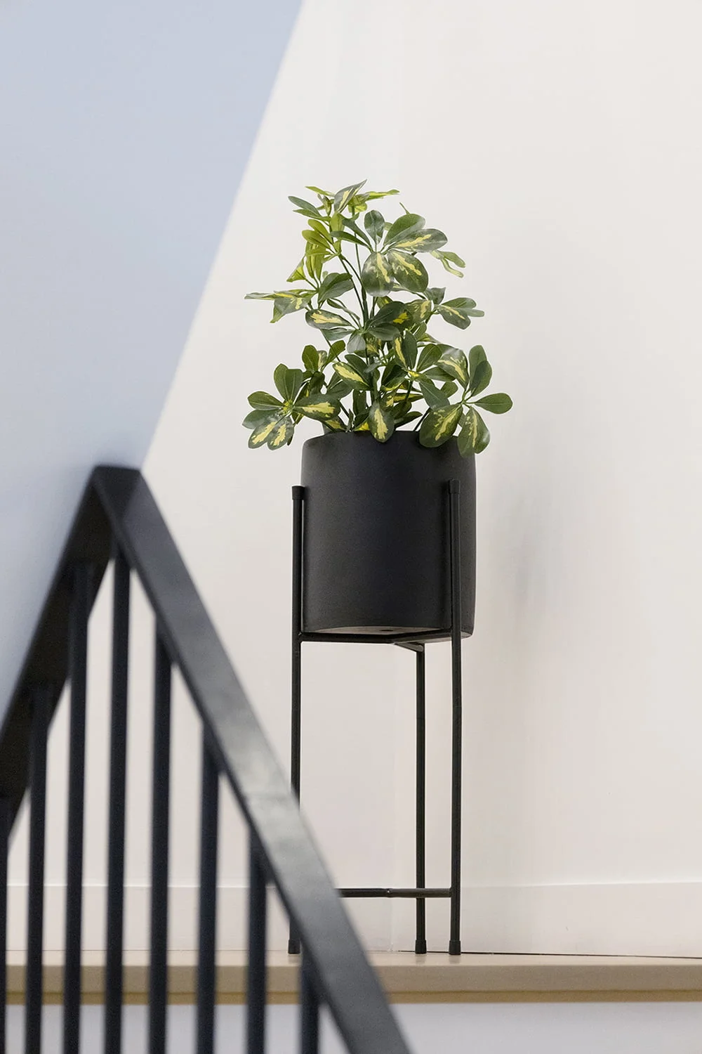 Black metal plant stand - Décors Véronneau