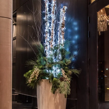 100 lumières de Noël DEL, blanc pur, fil blanc, int/ext, 52,5'