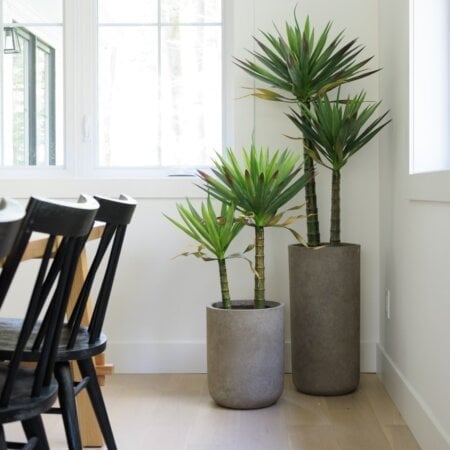 Agave americana artificiel à deux troncs, 39'' - Décors Véronneau