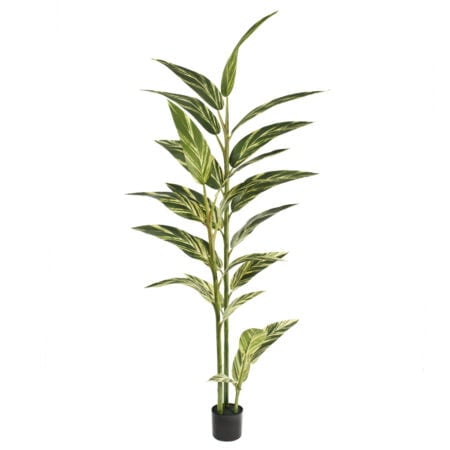 Plante artificielle d'alpinia vittata, 86