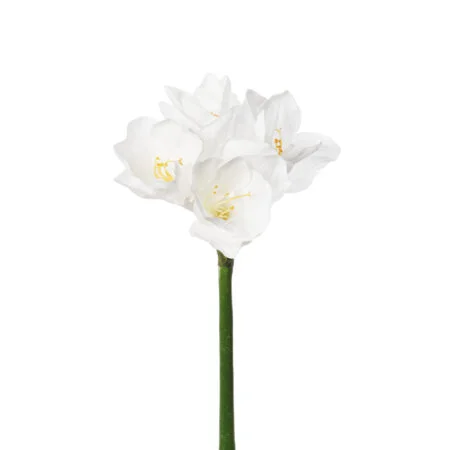 Amaryllis blanche artificielle, 31