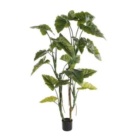 Anthurium artificiel, 63
