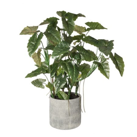 Anthurium artificiel en pot gris, 76 x 56